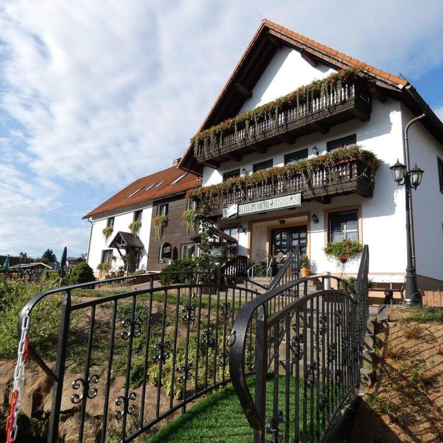Hotel-Pension Flechsig Hartmannsdorf bei Kirchberg Buitenkant foto